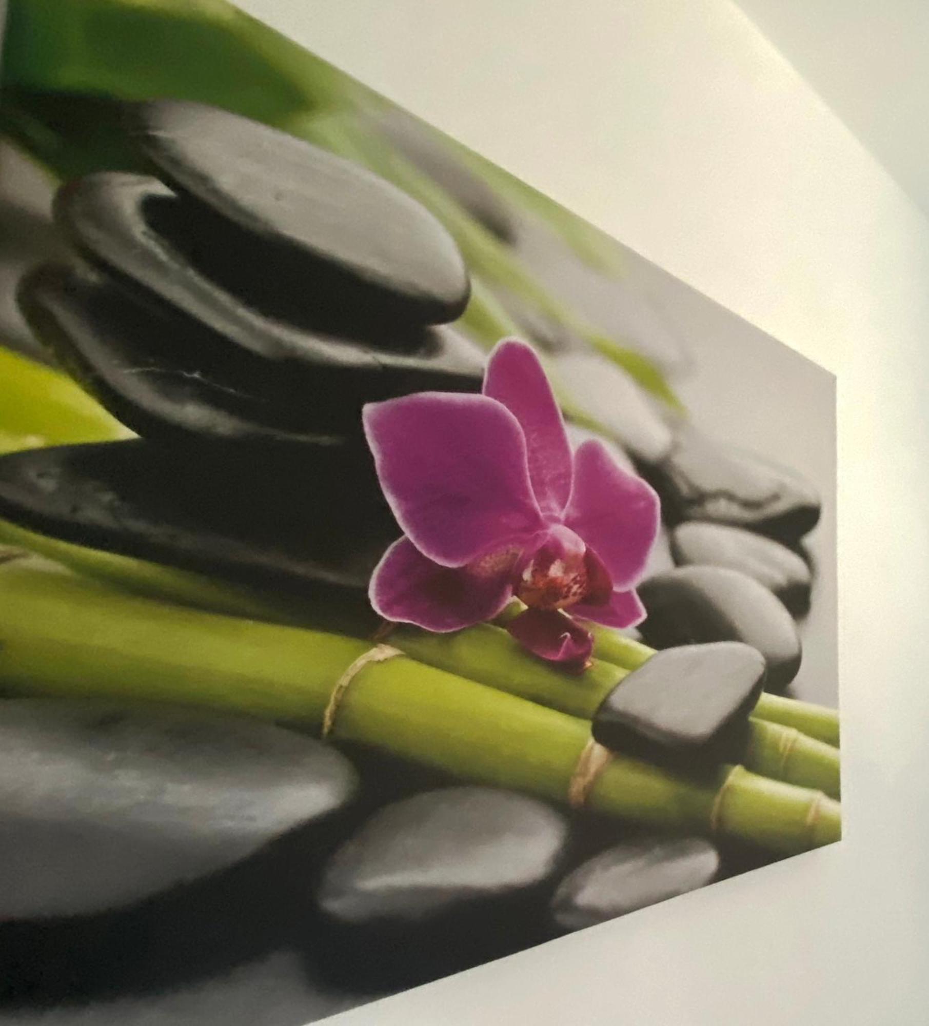 Four Flowers Apartman Siófok Kültér fotó